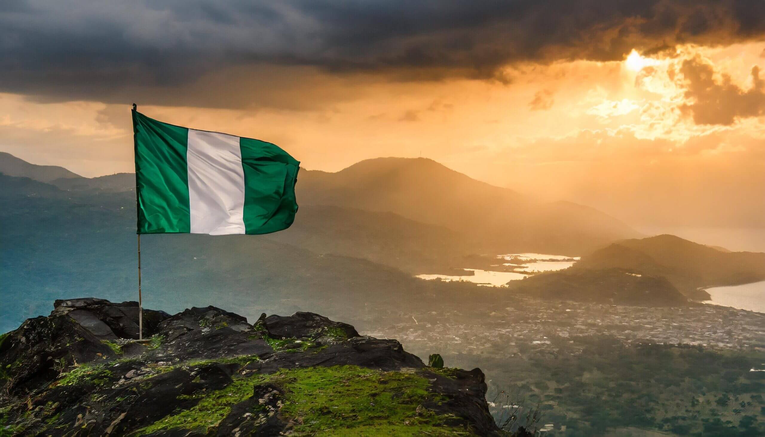 A nigerian flag on top of a very green hill overlooking a city